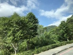 -太鲁阁公园