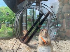 -珠海海泉湾神秘岛亲子乐园