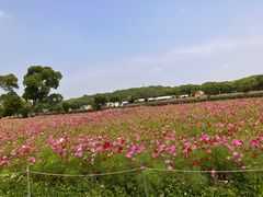 -嘉北郊野公园