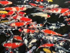 -贵阳高新惠诚食品有限公司