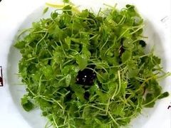 -翼松楼餐厅