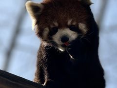 -无锡动物园·太湖欢乐园