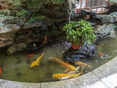 -佛有缘素食馆·荔湾老字号(陈家祠首店)