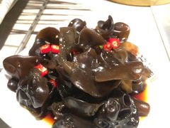 爽口木耳-丰茂烤串(钦州北路店)