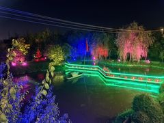 -大队长大灶鹅