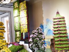 -杭州植物园