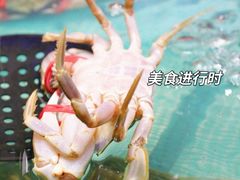 -初色海鲜自助(万丰路店)