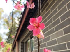-塔子山公园