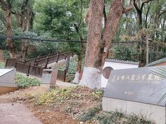 -马王堆汉墓遗址