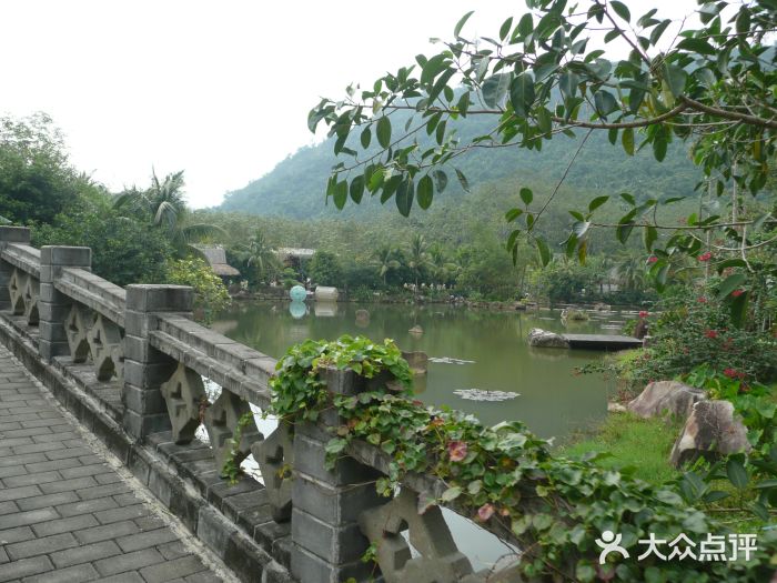呀诺达热带雨林图片