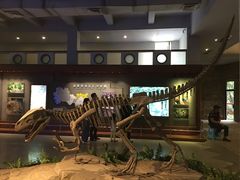 -自贡恐龙博物馆