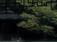 -虎跑公园