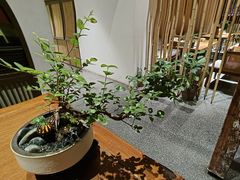 -竹里馆·淮扬菜·功夫茶(老门东店)