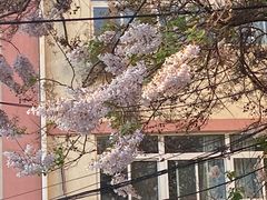 -元大都城垣遗址公园