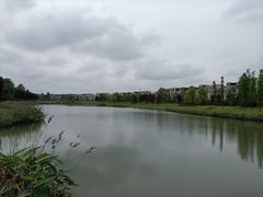 -两河城市森林公园