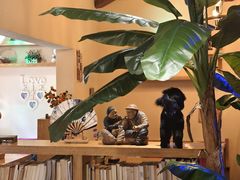 -月亮眼花园餐厅书吧酒吧