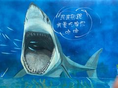 -青岛东方影都融创水世界