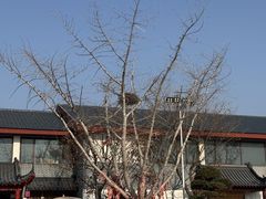 -孔子六艺文化园