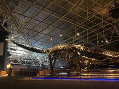 -世界恐龙谷景区