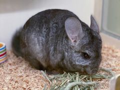 -龙猫仔乐园(惠福东路店)