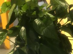 -陈家老院子(高新店)