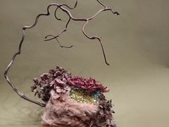 -HELEN FLORAL DESIGN(海上世界文化艺术中心店)