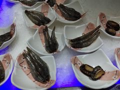 -锤头鲨毛肚海鲜烤肉自助餐厅(国购广场店)