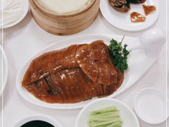 -九花山烤鸭店
