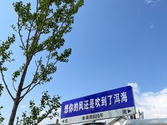 -大理洱海