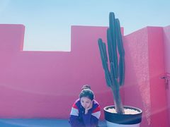 -漳州滨海火山岛自然生态风景区