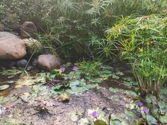 -深圳国际园林花卉博览园