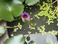 -海底捞火锅(高科东路店)
