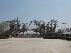 -禹州森林植物园