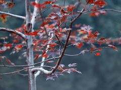 -小格里自然风景区