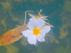 -丽江泸沽湖景区