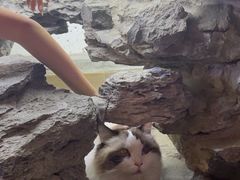 -白兔子密室(长寿路店)