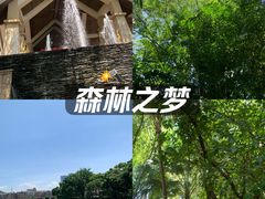 -丰泰花园酒店热矿泉