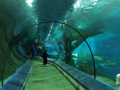 -福州罗源湾海洋世界旅游区