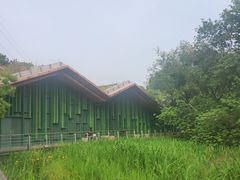 -西湖风景区-江洋畈生态公园