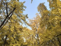 -牛王庙特色面(杏苑公寓店)