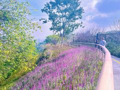 -重庆平顶山公园