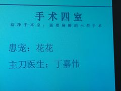 -北京观赏动物医院·24小时大型综合·猫专科·异宠专科