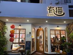 -有猫主题·治愈系猫咖(曾厝垵店)
