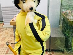 -朝安泰迪熊博物馆