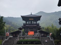 -大唐贡茶院
