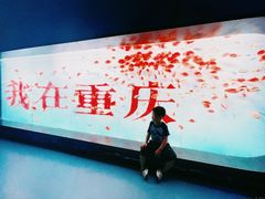 -重庆欢乐海底世界