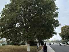 -云龙湖旅游景区