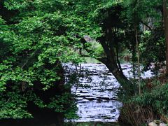 -玉苍山国家森林公园