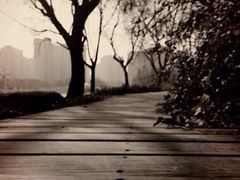 upload_pic-新江湾城公园