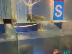 -鱼酷活鱼烤鱼(沈阳大悦城店)